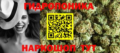 apvp Кинель