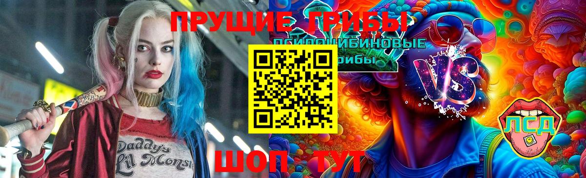 Красноармейск  Псилоцибиновые грибы ЛСД  Вход с VPN 